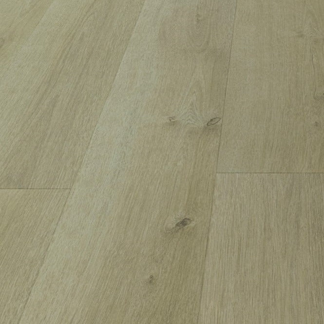 Laminate 12mm - Ivory White (LMN12008)