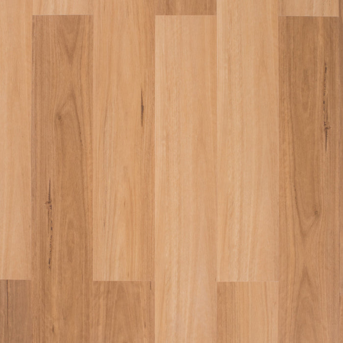 Hybrid 6.5mm - SAMPLES