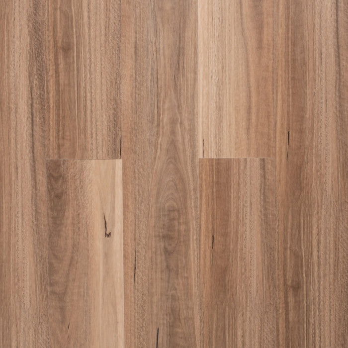 Hybrid 6.5mm - SAMPLES