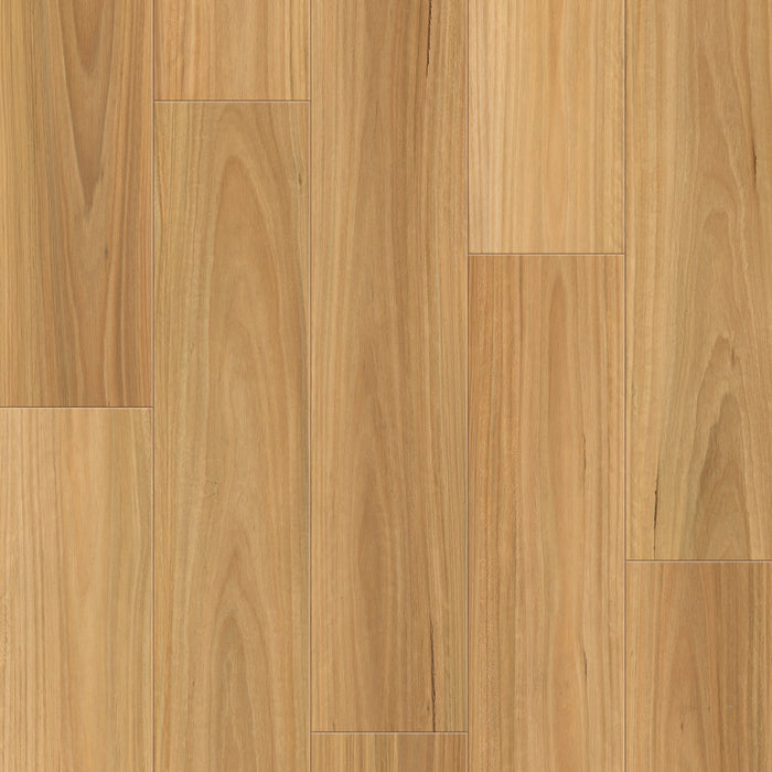 Hybrid 9.5mm - Natural Blackbut (HYB95001)